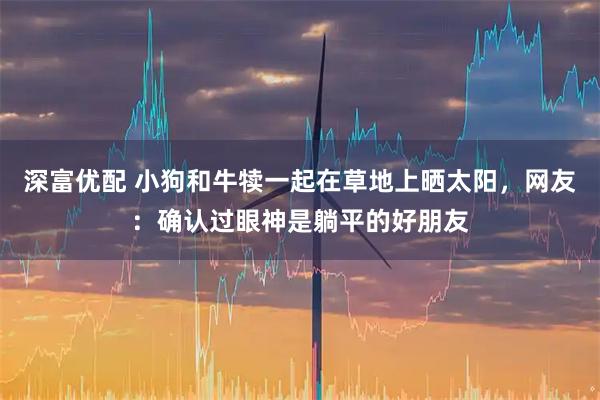 深富优配 小狗和牛犊一起在草地上晒太阳，网友：确认过眼神是躺平的好朋友